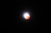 Total Lunar Eclipse 130.JPG