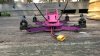 02 - purple wasp.JPG 02 - purple wasp.JPG
