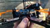 17 - Goby 180.JPG