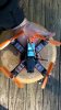 18 - Goby 180.jpg