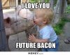 Bacon-Pig-Meme-03.jpg