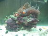 NewSaltwater045.jpg NewSaltwater045.jpg