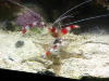 NewSaltwater053.jpg NewSaltwater053.jpg