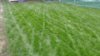 P_20191004_175803_vHDR_Auto.jpg