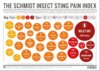 insect pain index.jpg