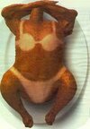turkey tan.jpg