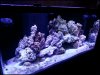 20121210_205447.jpg