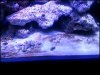 20121211_191356.jpg