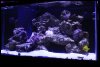 Aquarium 016.JPG