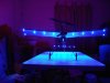 05 leds wired.jpg