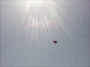 f22 fly by under the sun.png