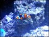 20130610_184917.jpg 20130610_184917.jpg