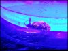 20130604_203354.jpg 20130604_203354.jpg
