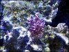 20130610_185050.jpg