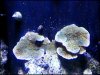 20130610_185008.jpg