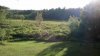 IMG_20130612_190611_494.jpg