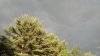 IMG_20130612_190635_872.jpg
