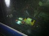 IMG_1042.jpg IMG_1042.jpg