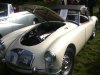IMG_0619.JPG IMG_0619.JPG