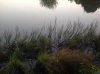 IMG_0260.jpg IMG_0260.jpg