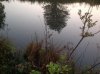 IMG_0265.jpg IMG_0265.jpg