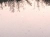 IMG_0267.jpg IMG_0267.jpg